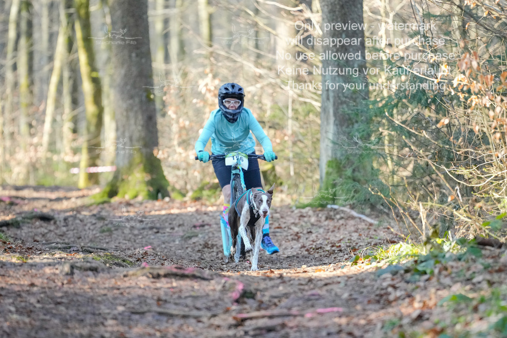 Scooter_So_So-2 | stephaniefillaphotographie - Realisiert mit Pictrs.com