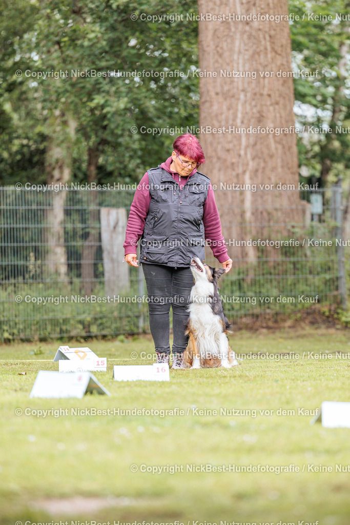 RO-Blumenthal-2026-Nickbest-Hundefotografie-2529 | Dein Hund! Dein Moment! Deine Erinnerungen! Hundefotografie in Bremen Blumenthal. Ich fange die besonderen Momente deines Vierbeiners ein – ob Indoor mit Blitzanlage oder in der freien Natur. Sicher dir dein Moment und dein Termin für eure Erinnerungen.
