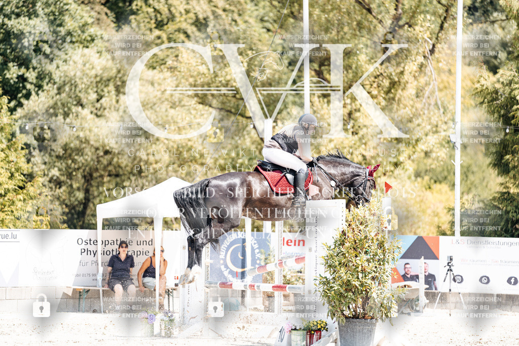 CK900645 | Turnierfotografie Pferdefotografie Trier Rheinland-Pfalz Pferdesport Reitsport Tierfotografie Sportfotografie Pferdevideo Pferdevideografie Equestrianvideography equestrianphotography  - Realisiert mit Pictrs.com