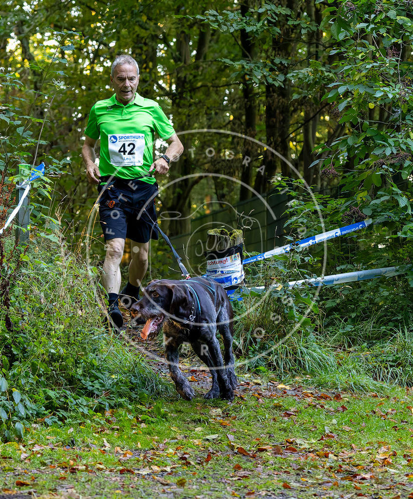 Pfotenfotografie_DV3A6838 | Hundefotografie, Tierfotograf, Pfotenfotografie, Fotoshooting Hund, Hunde Portrait, Hundesport, Hundeportraits, Heideshooting, Hunde, Sportfotograf, Hundefotograf, Turnierhundsport, THS,  - Realisiert mit Pictrs.com