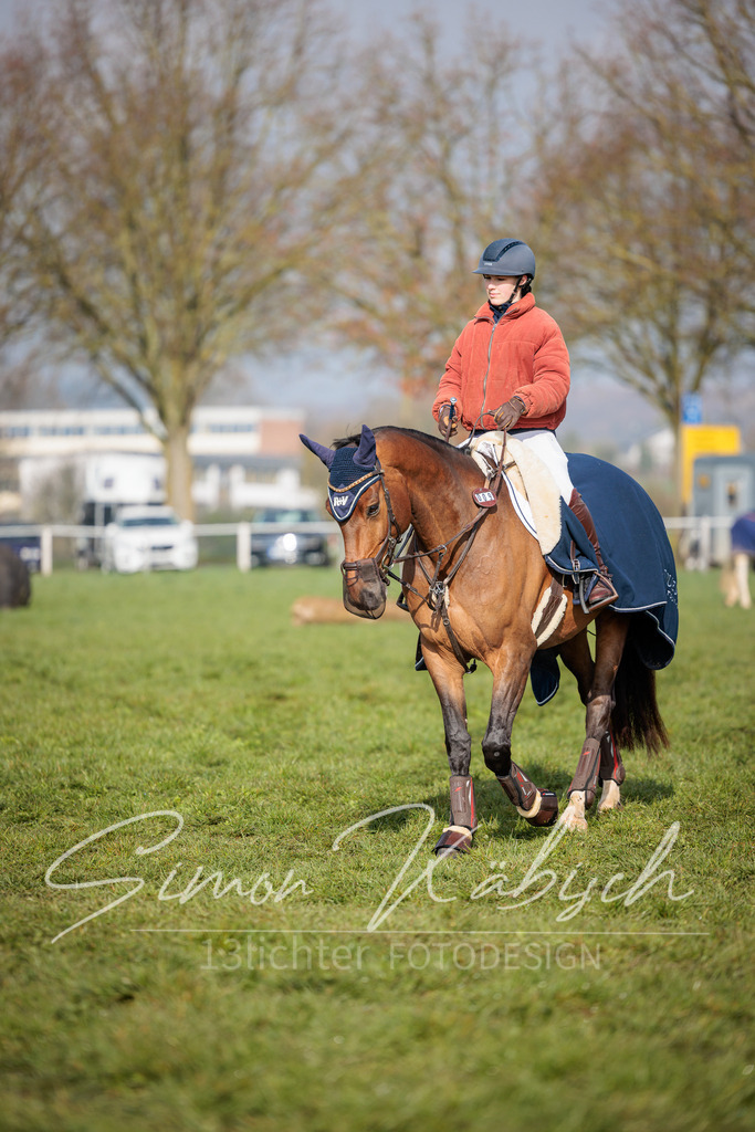 20260329-_3LI3257 | Tierfotografie Pferde, Hunde, Katzen, Haustiere.
Turnierfotografie Reitturniere, Reiten, Springreiten, Dressur in Hanau, dem Main-Kinzig-Kreis und dem Rhein-Main- Gebiet um Frankfurt