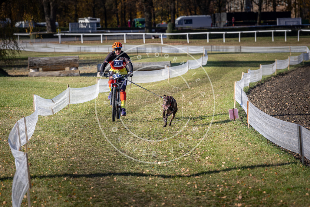 CaniXpix_DV3A5176 | Hundefotografie, Tierfotograf, Pfotenfotografie, Fotoshooting Hund, Hunde Portrait, Hundesport, Hundeportraits, Heideshooting, Hunde, Sportfotograf, Hundefotograf, Turnierhundsport, THS,  - Realisiert mit Pictrs.com