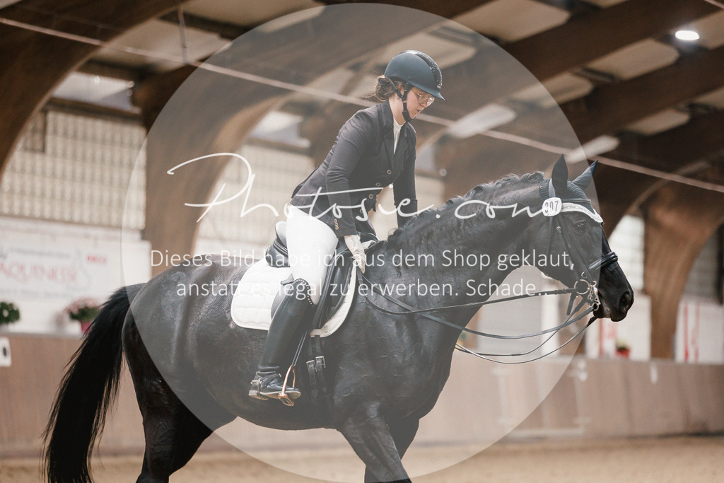 3I6A8367 | Stimmungsvolle Portraits und Reitsportfotografie im Ruhrgebiet und im Münsterland.

Pferdefotografie, Hundefotografie, Tierfotografie, Reportagen, Portraits von Tier und Mensch, Turnierfotografie in Bochum, Recklinghausen, Marl, Haltern am See, Dülmen.. - Realisiert mit Pictrs.com
