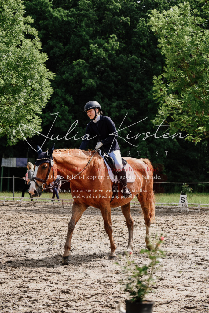 DSC_0057 | Pferde- und Turnierfotografie in Westsachsen. Pferdeportraits, Auftragszeichnungen und intuitive Kunst.