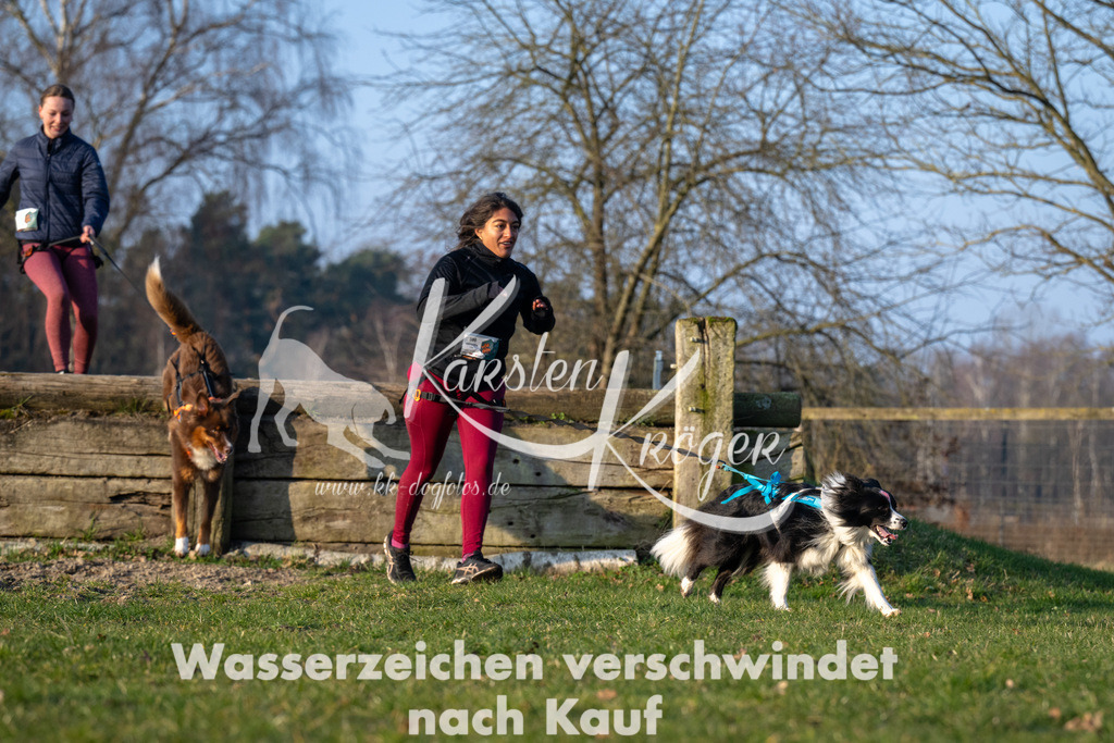 _ZZ90682 | kk-dogfotos