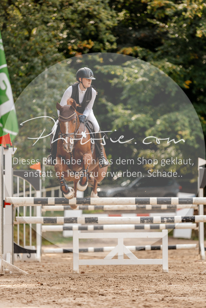 3I6A4598 | Stimmungsvolle Portraits und Reitsportfotografie im Ruhrgebiet und im Münsterland.

Pferdefotografie, Hundefotografie, Tierfotografie, Reportagen, Portraits von Tier und Mensch, Turnierfotografie in Bochum, Recklinghausen, Marl, Haltern am See, Dülmen.. - Realisiert mit Pictrs.com