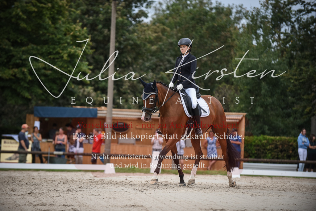 DSC_8402 | Pferde- und Turnierfotografie in Westsachsen. Pferdeportraits, Auftragszeichnungen und intuitive Kunst.