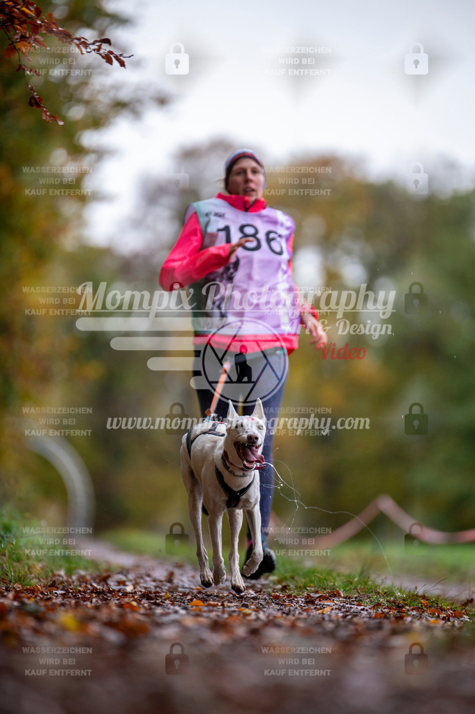 DBT_DAKM_SA_4_11_2023_Canicross-31 | PayLife