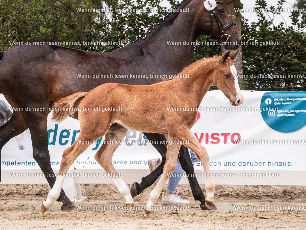 A10I9807 | photographylinaismer - Realisiert mit Pictrs.com