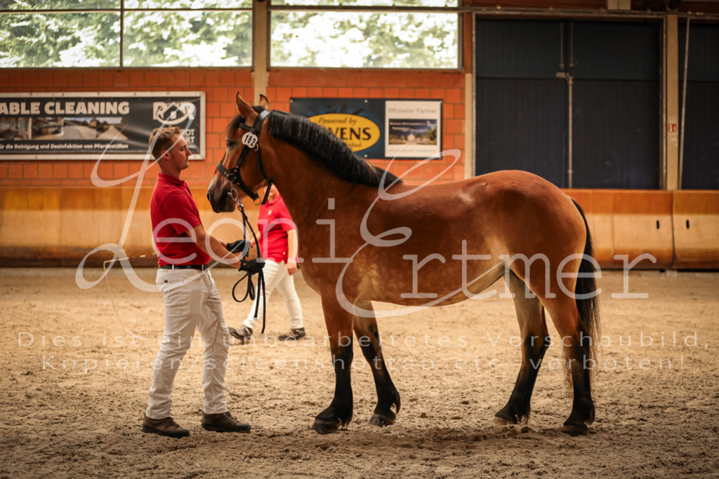 SaFL00088 | Leoni Ertmer Photography - Realisiert mit Pictrs.com