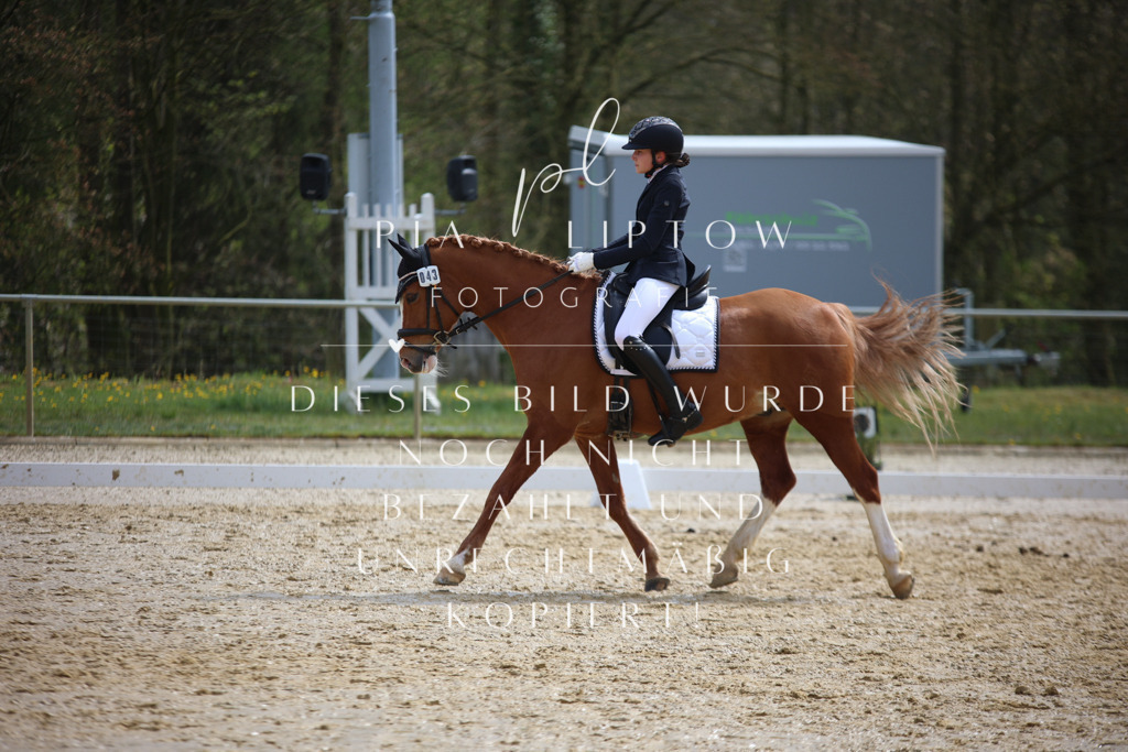 IMGT4164 | pl-fotografie