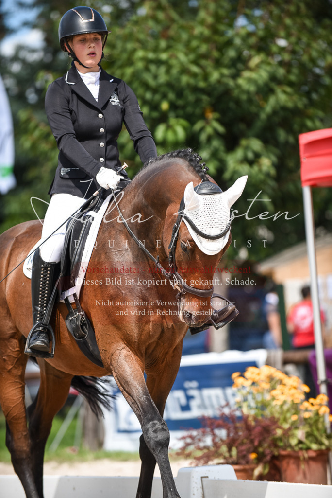 DSC_9293 | Pferde- und Turnierfotografie in Westsachsen. Pferdeportraits, Auftragszeichnungen und intuitive Kunst.