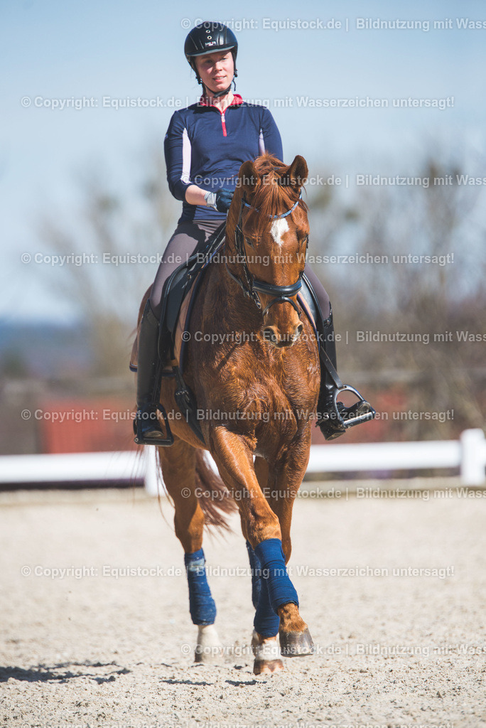 TS_20170312_Dressurpferd_Reiten_0001 | Foto: Thomas Hartig