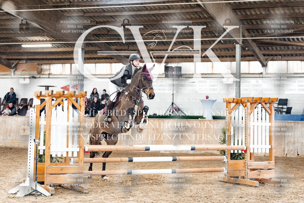 CK904209 | Turnierfotografie Pferdefotografie Trier Rheinland-Pfalz Pferdesport Reitsport Tierfotografie Sportfotografie Pferdevideo Pferdevideografie Equestrianvideography equestrianphotography  - Realisiert mit Pictrs.com