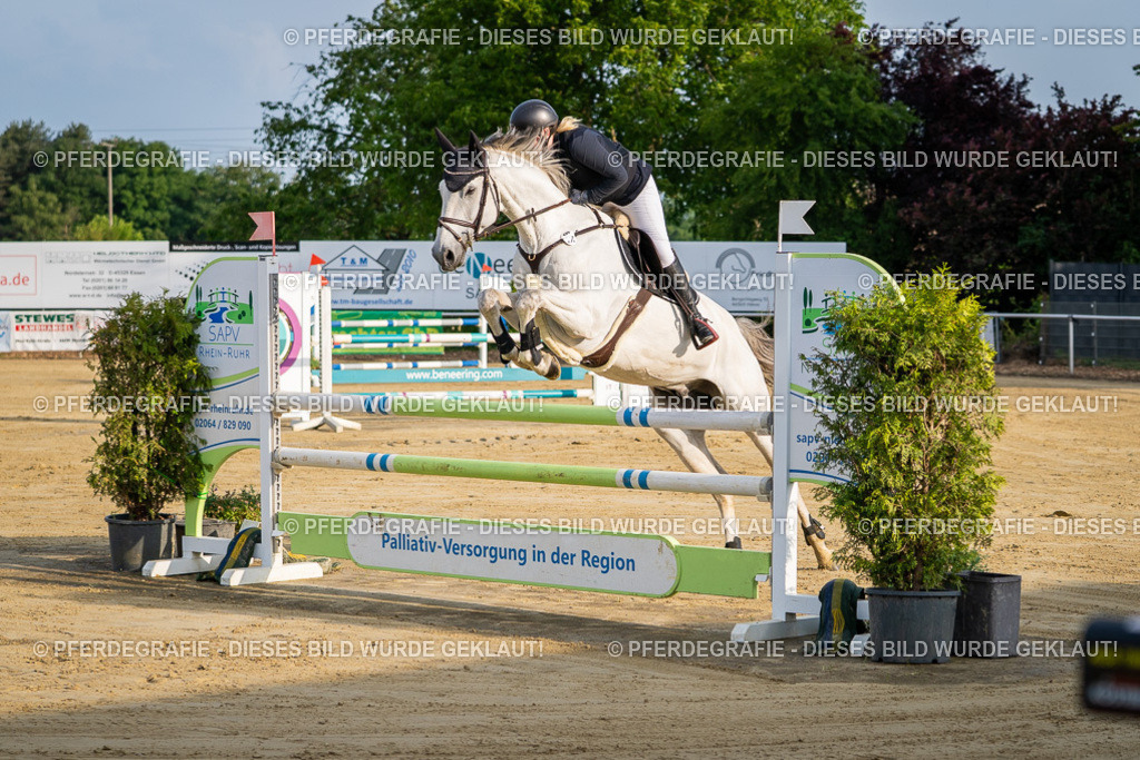 DSC02001 | Pferdegrafie