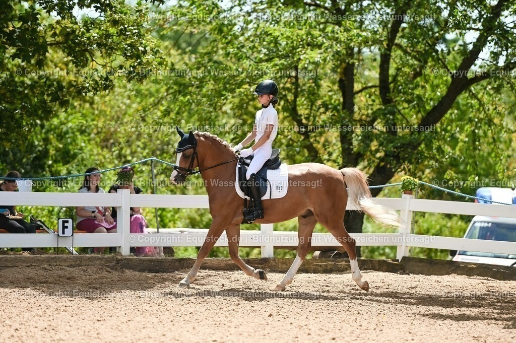 20230715_09_Dressur-WB_0272 | equistock