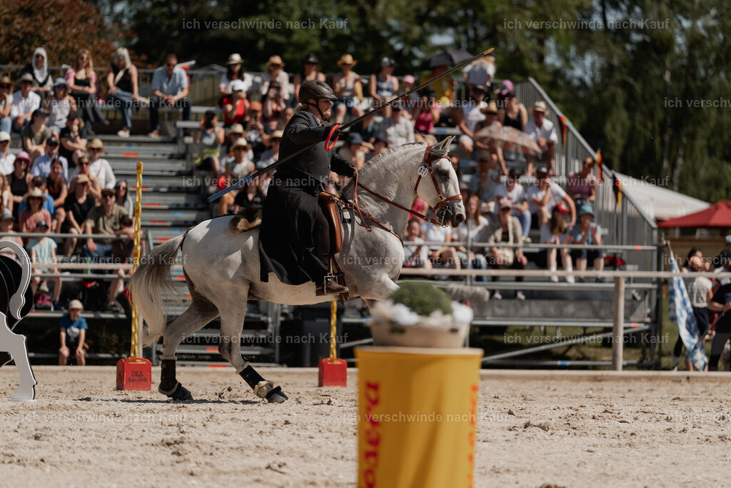 WE_SP_Stoib_321_PI2025_1585 | Pferd International München 2025