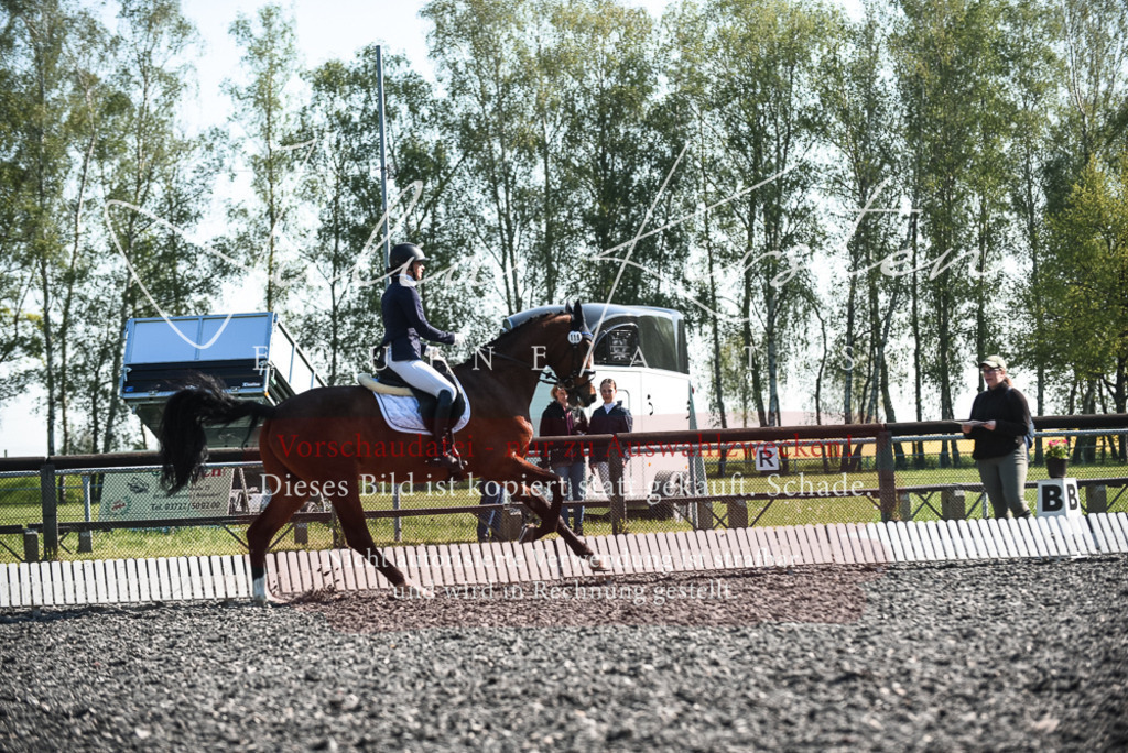DSC_8547 | Pferde- und Turnierfotografie in Westsachsen. Pferdeportraits, Auftragszeichnungen und intuitive Kunst.