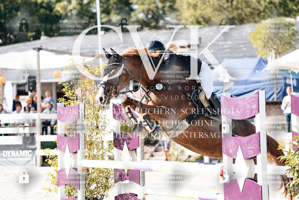 CK907790 | Turnierfotografie Pferdefotografie Trier Rheinland-Pfalz Pferdesport Reitsport Tierfotografie Sportfotografie Pferdevideo Pferdevideografie Equestrianvideography equestrianphotography  - Realisiert mit Pictrs.com