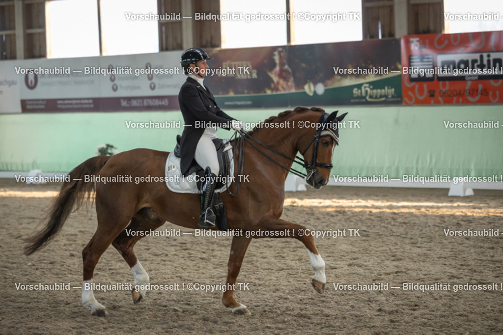 _D5A0834 | Emotionale Pferde- & People-Fotografie rund um Heidelberg, Leimen & Umgebung. Natürliche Fotos von Pferd, Mensch & Familie. Jetzt Termin sichern!