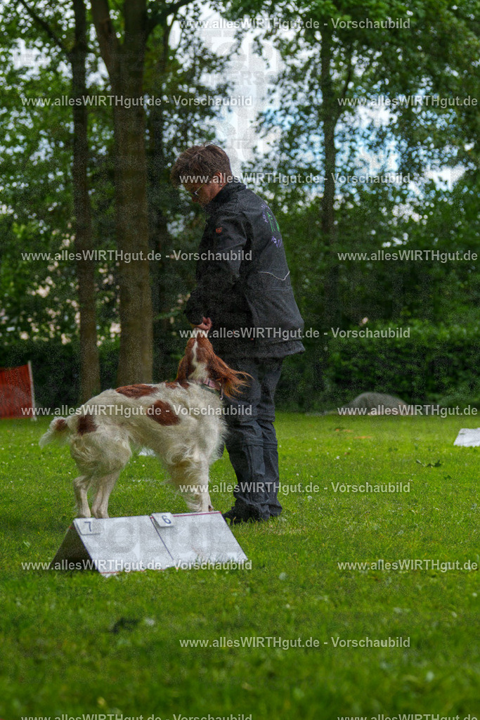 @allesWIRTHgut_Tierfotografie - www.allesWIRTHgut.de - 131420-7R509938 | Professionelle Tierfotografie in Mönchengladbach von Daniel Wirth (allesWIRTHgut). Liebevolle & natürliche Bilder von Hunden & Katzen für unvergessliche Erinnerungen.