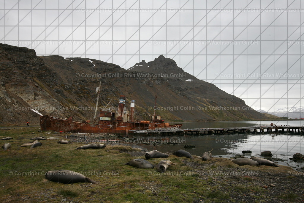 IMG_2966 | Antarktis / Antarctica - Realisiert mit Pictrs.com