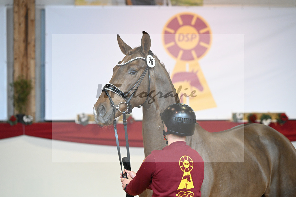 Kat-Nr. 76 Vitalis_Beckmann_1231518 | hf-fotografie - Realizzato con Pictrs.com