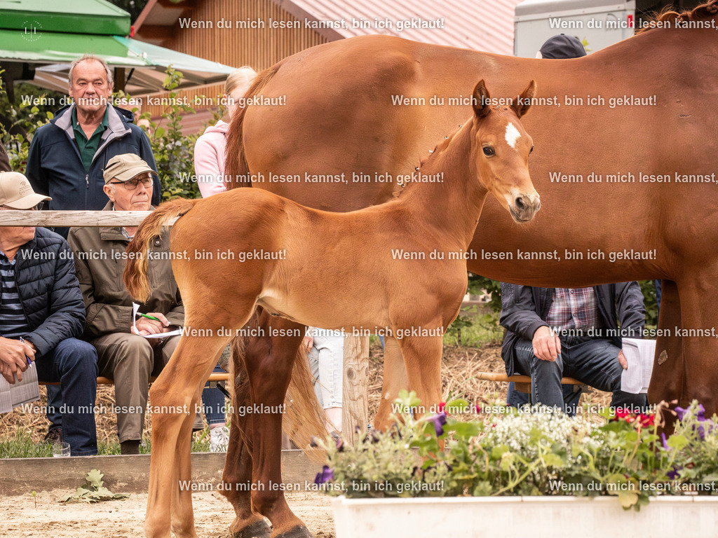 A10I0167-Verbessert-RR | photographylinaismer - Realisiert mit Pictrs.com