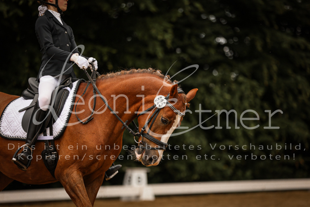 DoDrE00434 | Leoni Ertmer Photography - Realisiert mit Pictrs.com