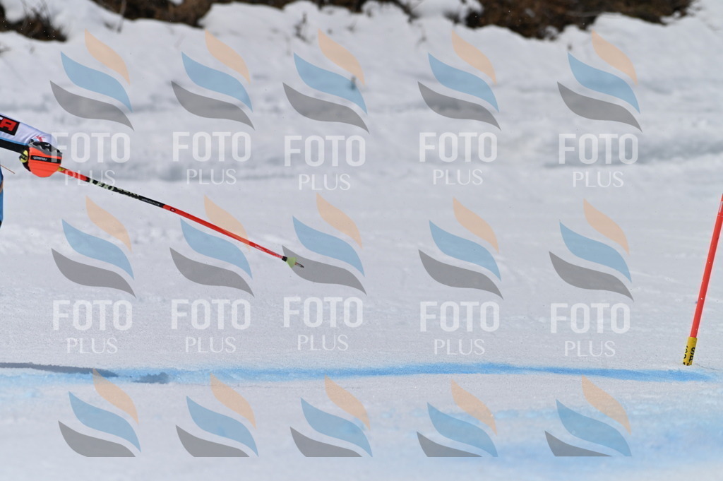 BGV_6210 | holidayphoto