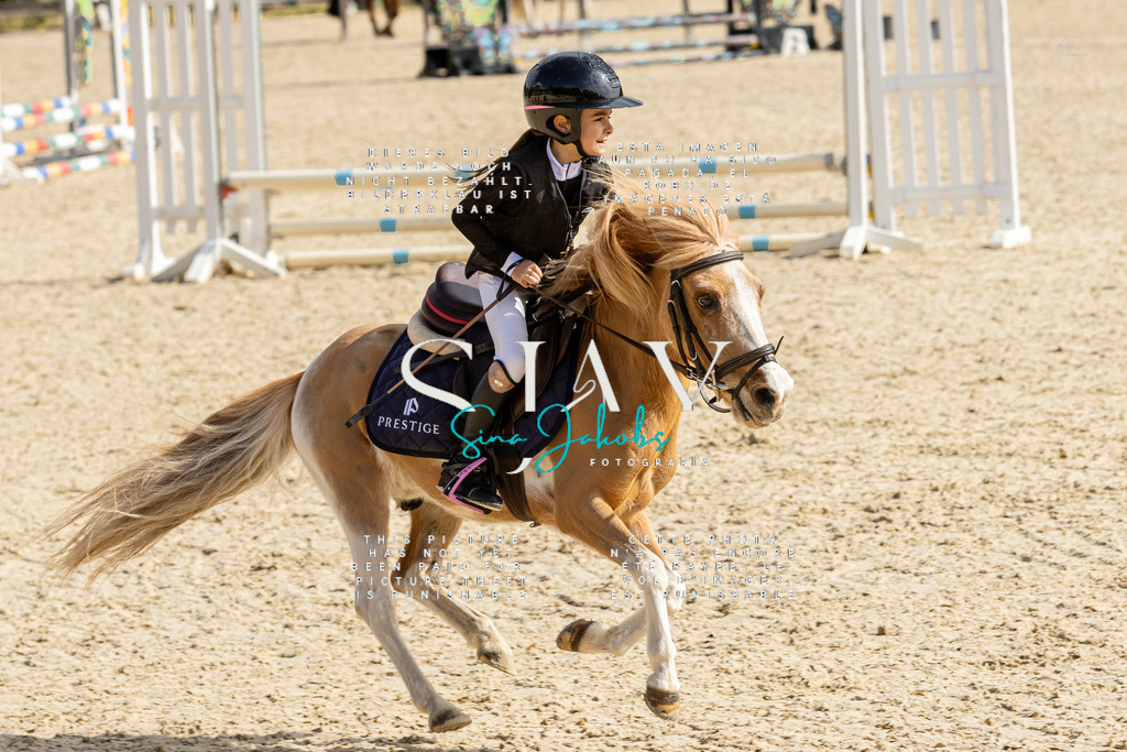 IMG_4462 | s-jay-photography - Realisiert mit Pictrs.com