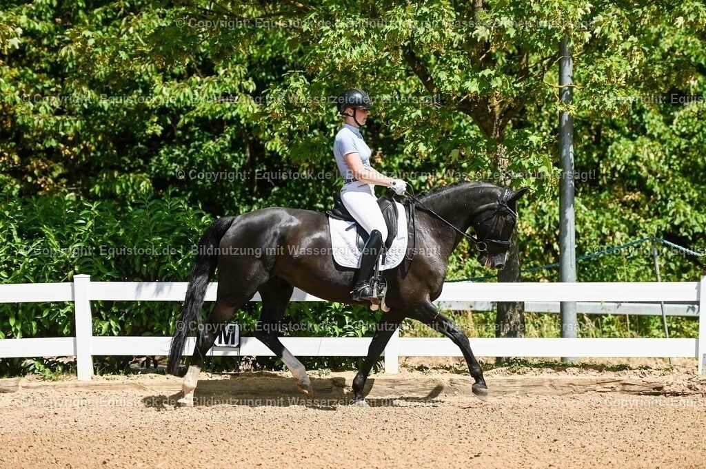 20230715_02_Dressurreiterprüfung Kl.L_0016 | equistock