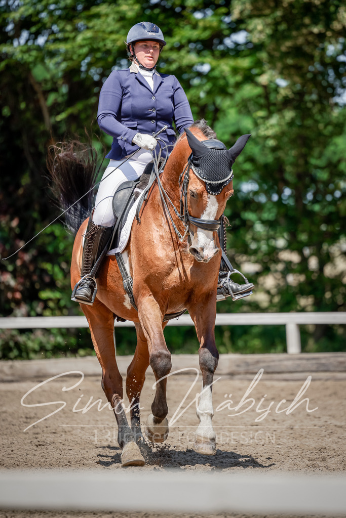 20250621-_3LI8640 | Tierfotografie Pferde, Hunde, Katzen, Haustiere.
Turnierfotografie Reitturniere, Reiten, Springreiten, Dressur in Hanau, dem Main-Kinzig-Kreis und dem Rhein-Main- Gebiet um Frankfurt