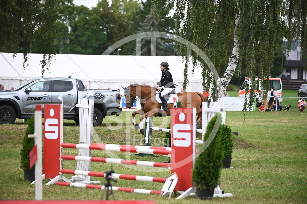 DSC_2516 | sattelsport - Realisiert mit Pictrs.com