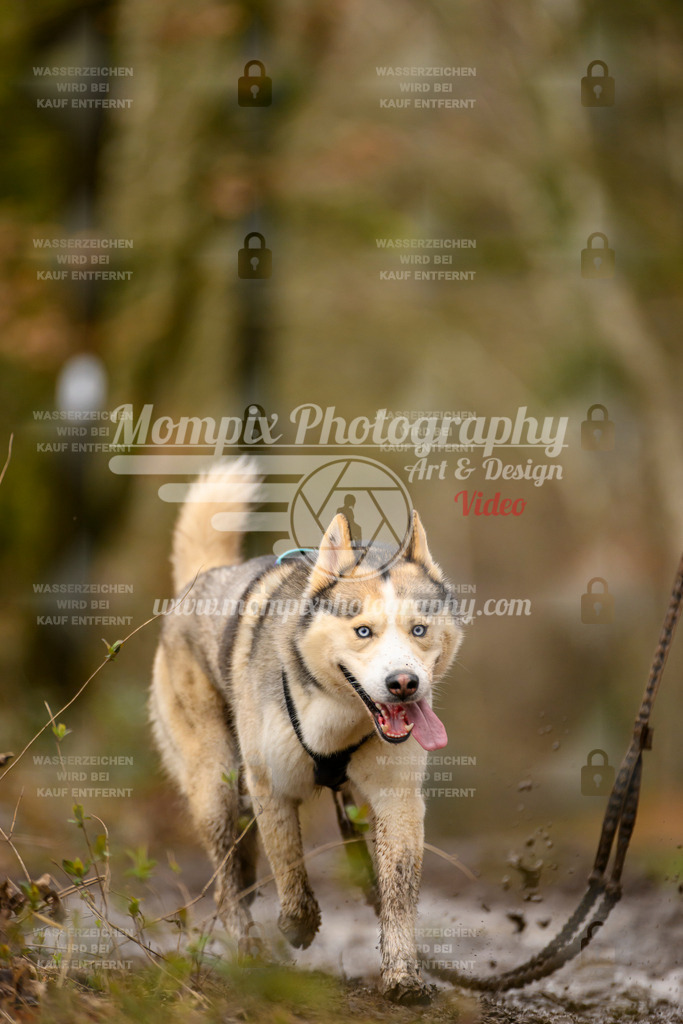 MompixPhotography_CDSM24_SA_CCL-182 | PayLife