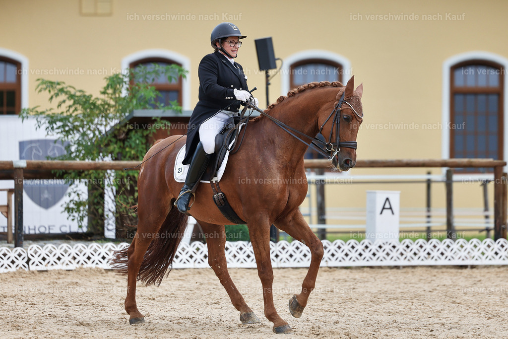 07-023-DRESSUR  S___  -StoibPH-5042 | working equitationturnier fotograf videograf stoibphotography marixx film working equitation deutschland reitsport turnierfotografie eventfotografie equestrian events