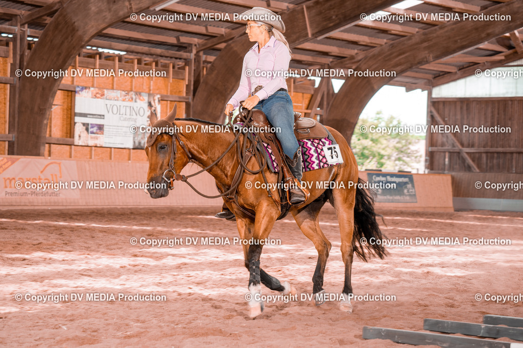 NE300505 | dv-media-shop - Realisiert mit Pictrs.com