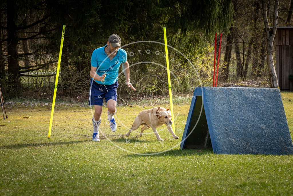 Pfotenfotografie_DV3A3788 | Hundefotografie, Tierfotograf, Pfotenfotografie, Fotoshooting Hund, Hunde Portrait, Hundesport, Hundeportraits, Heideshooting, Hunde, Sportfotograf, Hundefotograf, Turnierhundsport, THS,  - Realisiert mit Pictrs.com