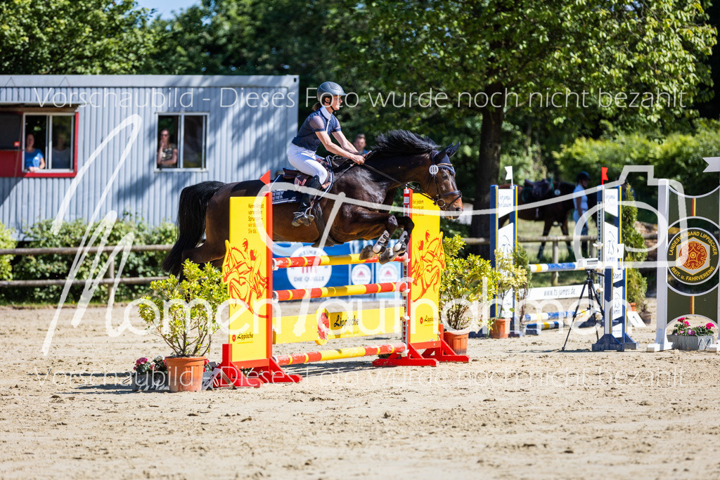 Donop24-M-Spr-085 | MomenTaufnahmen Pferdesportfotos