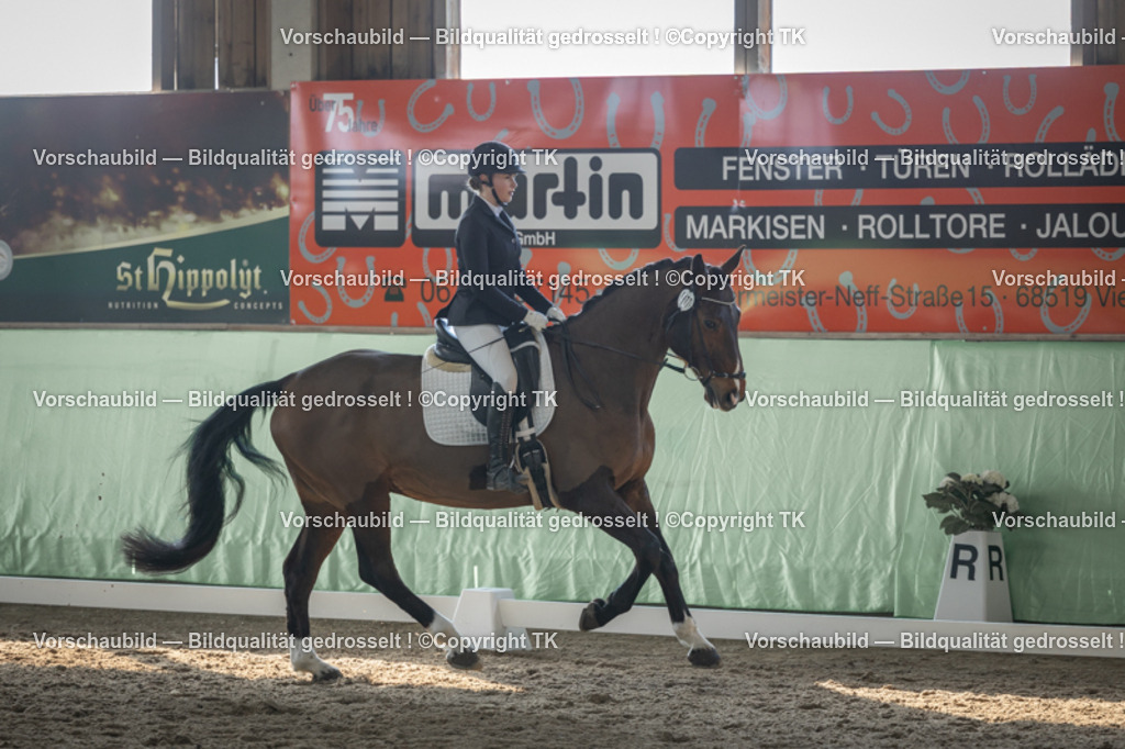 _D5A8369 | Emotionale Pferde- & People-Fotografie rund um Heidelberg, Leimen & Umgebung. Natürliche Fotos von Pferd, Mensch & Familie. Jetzt Termin sichern!