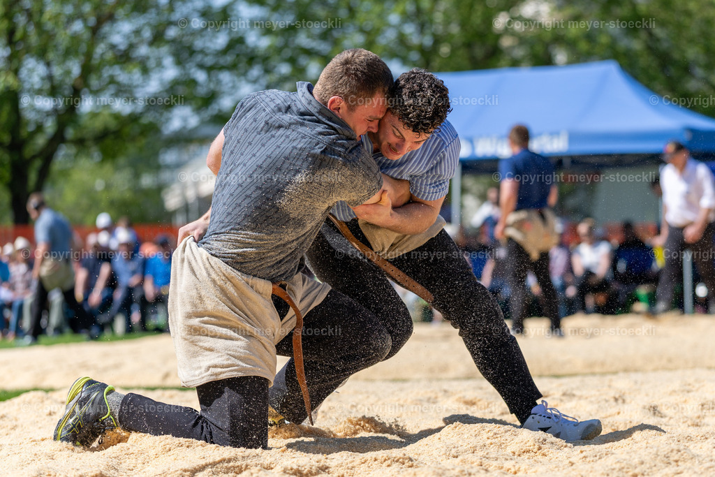 20260411-R1_17688 | meyer-stoeckli