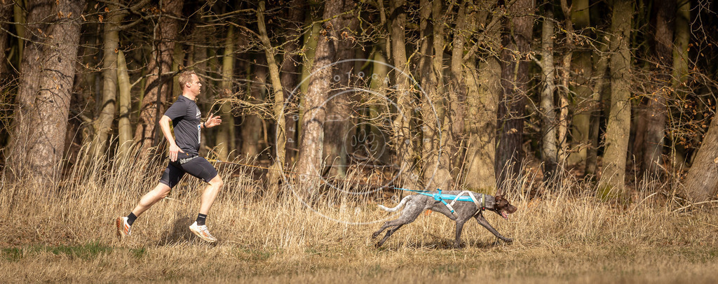 DV3A4953 | Hundefotografie, Tierfotograf, Pfotenfotografie, Fotoshooting Hund, Hunde Portrait, Hundesport, Hundeportraits, Heideshooting, Hunde, Sportfotograf, Hundefotograf, Turnierhundsport, THS,  - Realisiert mit Pictrs.com