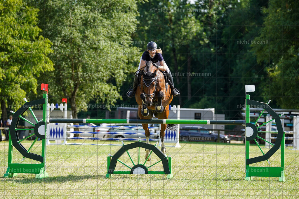 20230701-FAH02285 | Reitturnier Grafing, 2023, Grafing-Aiterndorf, Spribgturnier, Dressurturnier, Bilder, Qualifikation Nürnberger Burgpokal, Fotoagentur Herrmann, Turnierfotografen Bayern, Turnierbilder Bayern, Reitrsportfoto
