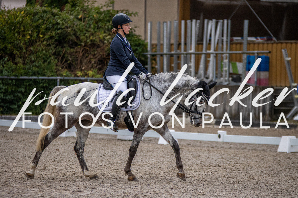 IMG_2330 | Erleben Sie dynamische Sport- und emotionale Tierfotografie in Süddeutschland mit Fotos von Paula. Spezialisiert auf Pferde- und Hundefotografie sowie Sportevents. Kontaktieren Sie mich für einzigartige und ausdrucksstarke Bilder Ihrer besonderen Momente. - Realisiert mit Pictrs.com