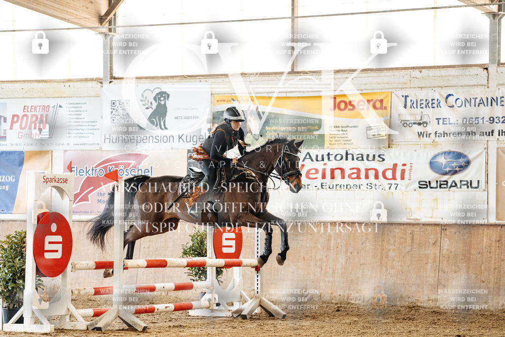 CK905525 | Turnierfotografie Pferdefotografie Trier Rheinland-Pfalz Pferdesport Reitsport Tierfotografie Sportfotografie Pferdevideo Pferdevideografie Equestrianvideography equestrianphotography  - Realisiert mit Pictrs.com
