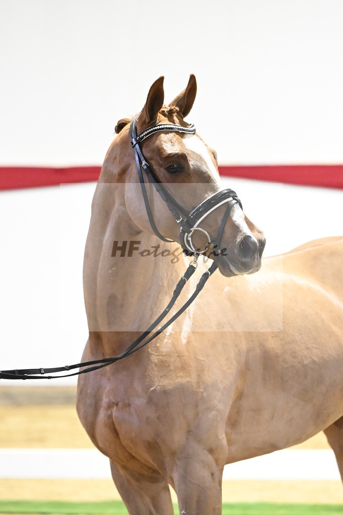 Kat-Nr. 48 v. Danone I_Mueller_63221238 | hf-fotografie - Realizzato con Pictrs.com