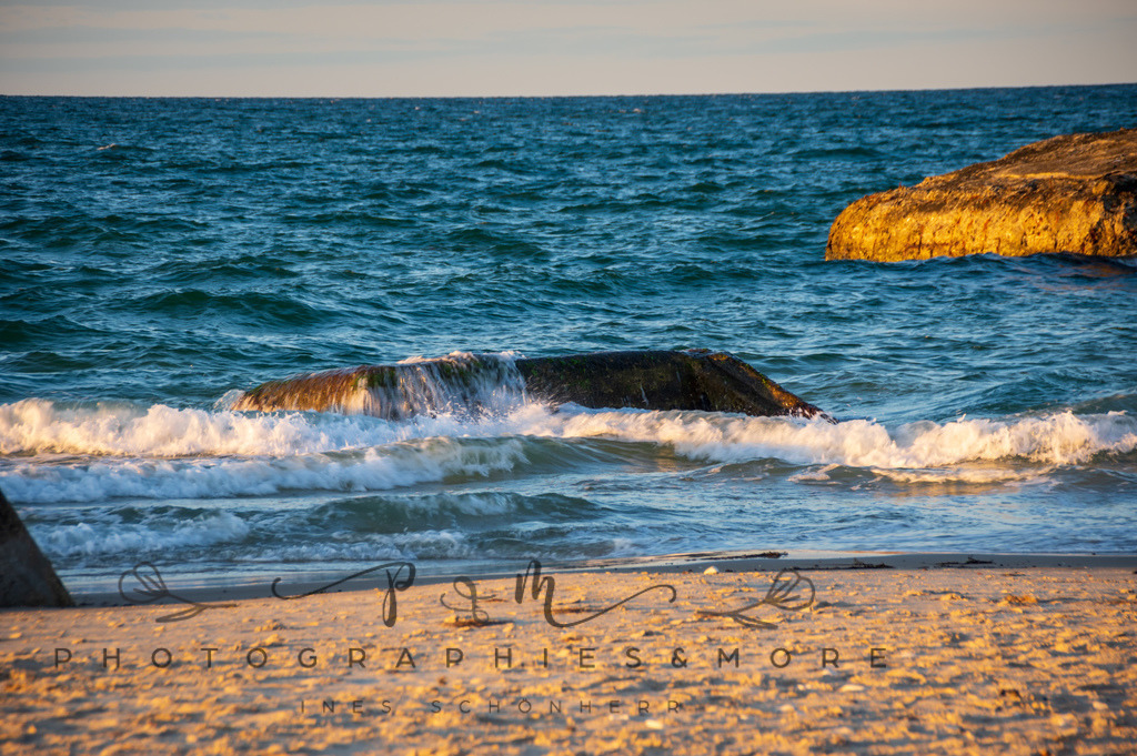 _Sommer2022-0701 | Photographies and more - Realisiert mit Pictrs.com