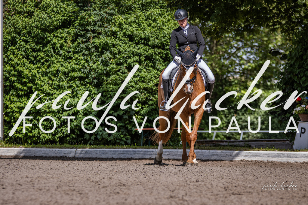 IMG_8082 | Erleben Sie dynamische Sport- und emotionale Tierfotografie in Süddeutschland mit Fotos von Paula. Spezialisiert auf Pferde- und Hundefotografie sowie Sportevents. Kontaktieren Sie mich für einzigartige und ausdrucksstarke Bilder Ihrer besonderen Momente. - Realisiert mit Pictrs.com