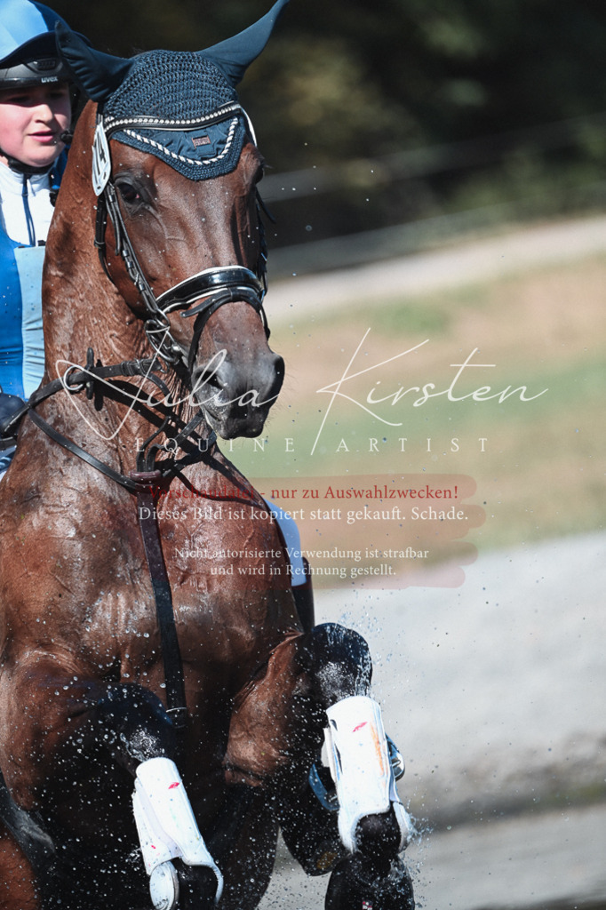 DSC_8706-2 | Pferde- und Turnierfotografie in Westsachsen. Pferdeportraits, Auftragszeichnungen und intuitive Kunst.