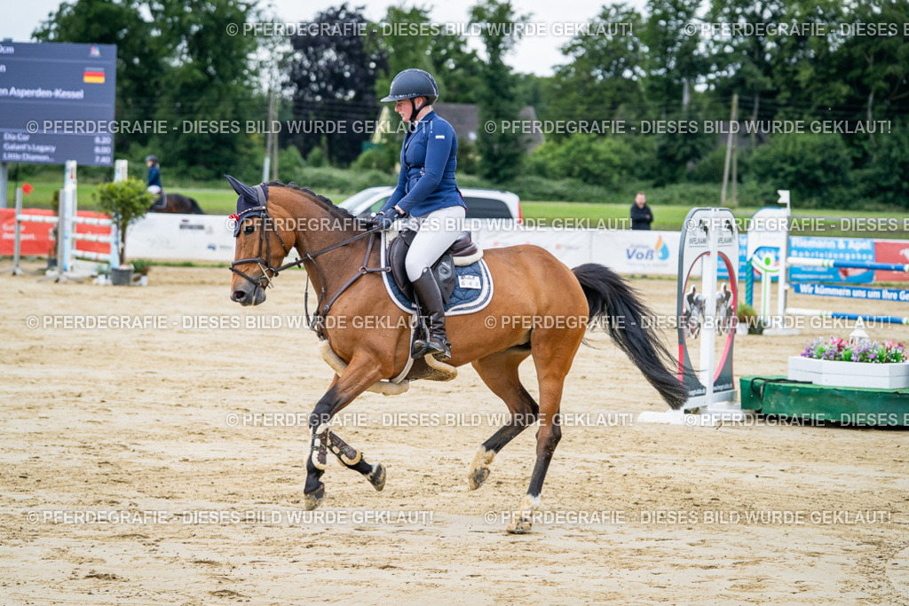 DSC04179 | Pferdegrafie